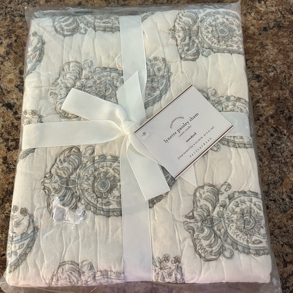 Pottery Barn Lynette Paisley Sham Standard - Picture 3 of 5